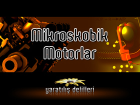 Mikroskobik Motorlar 1. Bölüm
